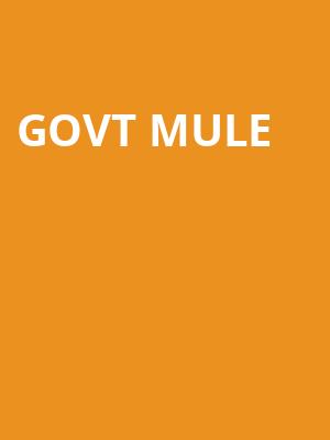 Govt Mule, Ting Pavilion, Charlottesville